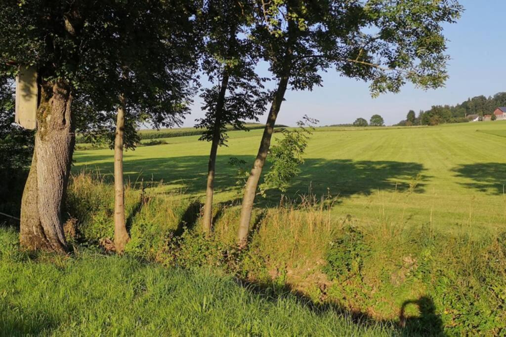 Ruhige Ferienwohnung inkl. Garten im Unterallgäu Lachen Exterior foto
