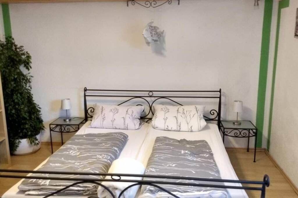 Ruhige Ferienwohnung inkl. Garten im Unterallgäu Lachen Exterior foto