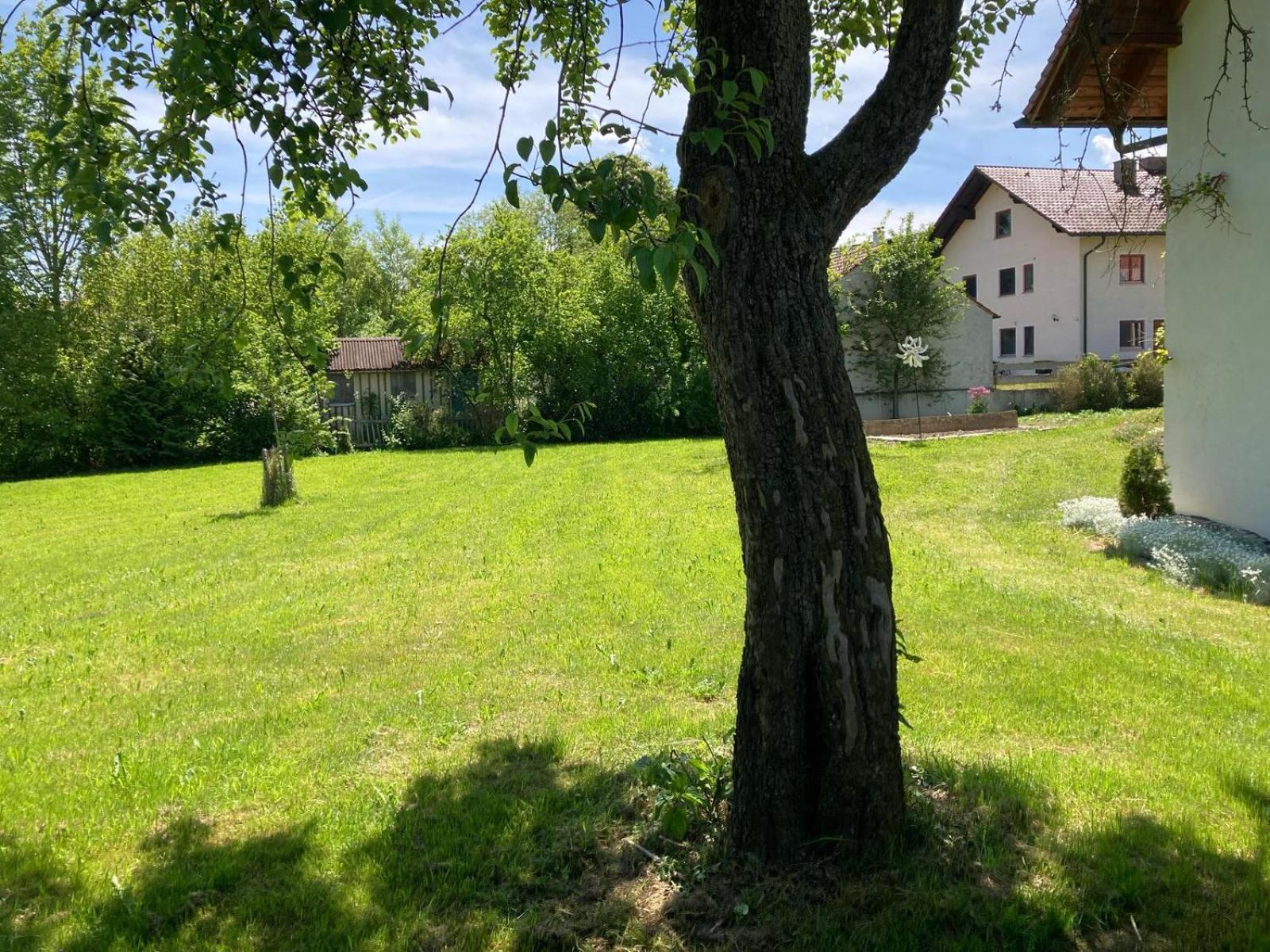 Ruhige Ferienwohnung inkl. Garten im Unterallgäu Lachen Exterior foto